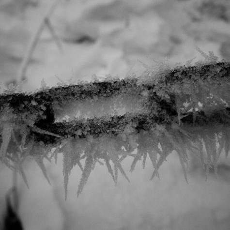 Una-volta-quando-gli-inverni-erano-ancora-di-casa-sulla-terra..invernibianchi-,inverni-gelidi..